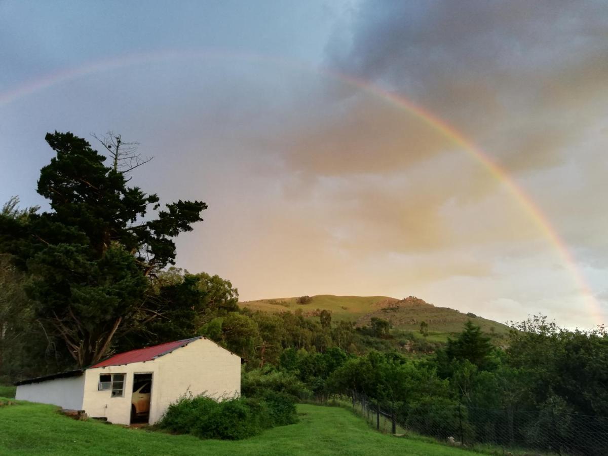 Sheeprun Farmstay Maclear Luaran gambar