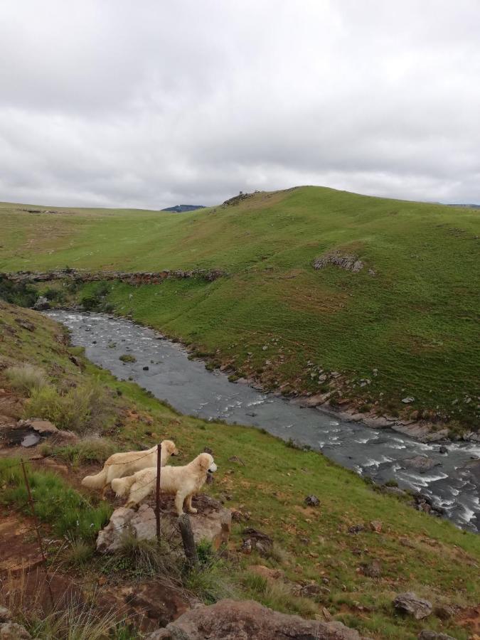 Sheeprun Farmstay Maclear Luaran gambar