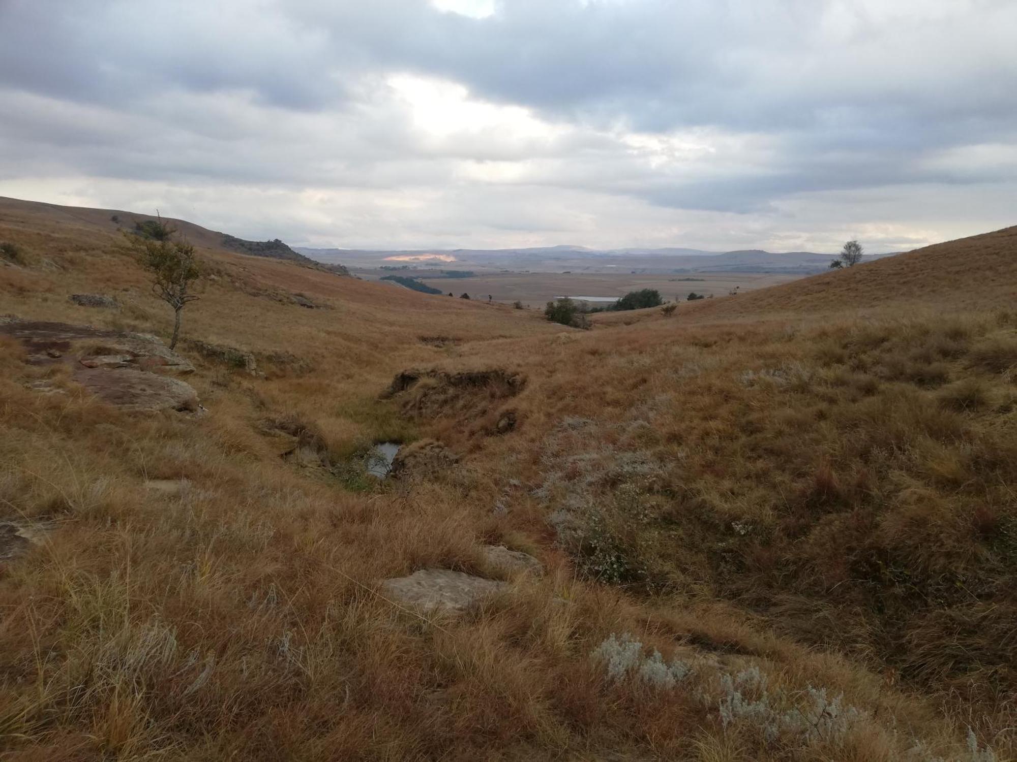 Sheeprun Farmstay Maclear Luaran gambar